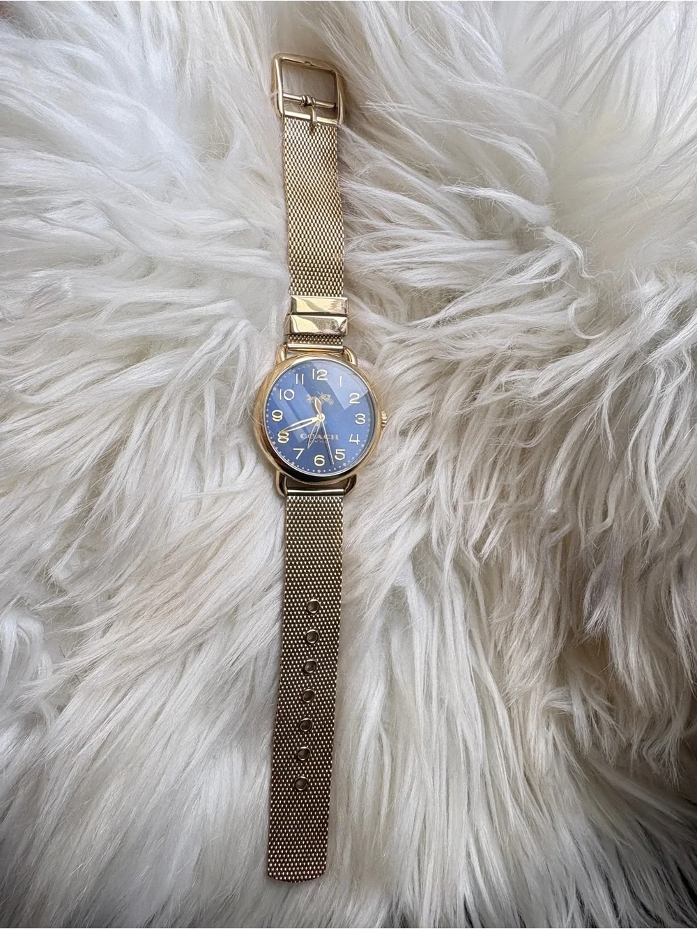 Coach Gold Mesh Strap Watch with Blue Dial
